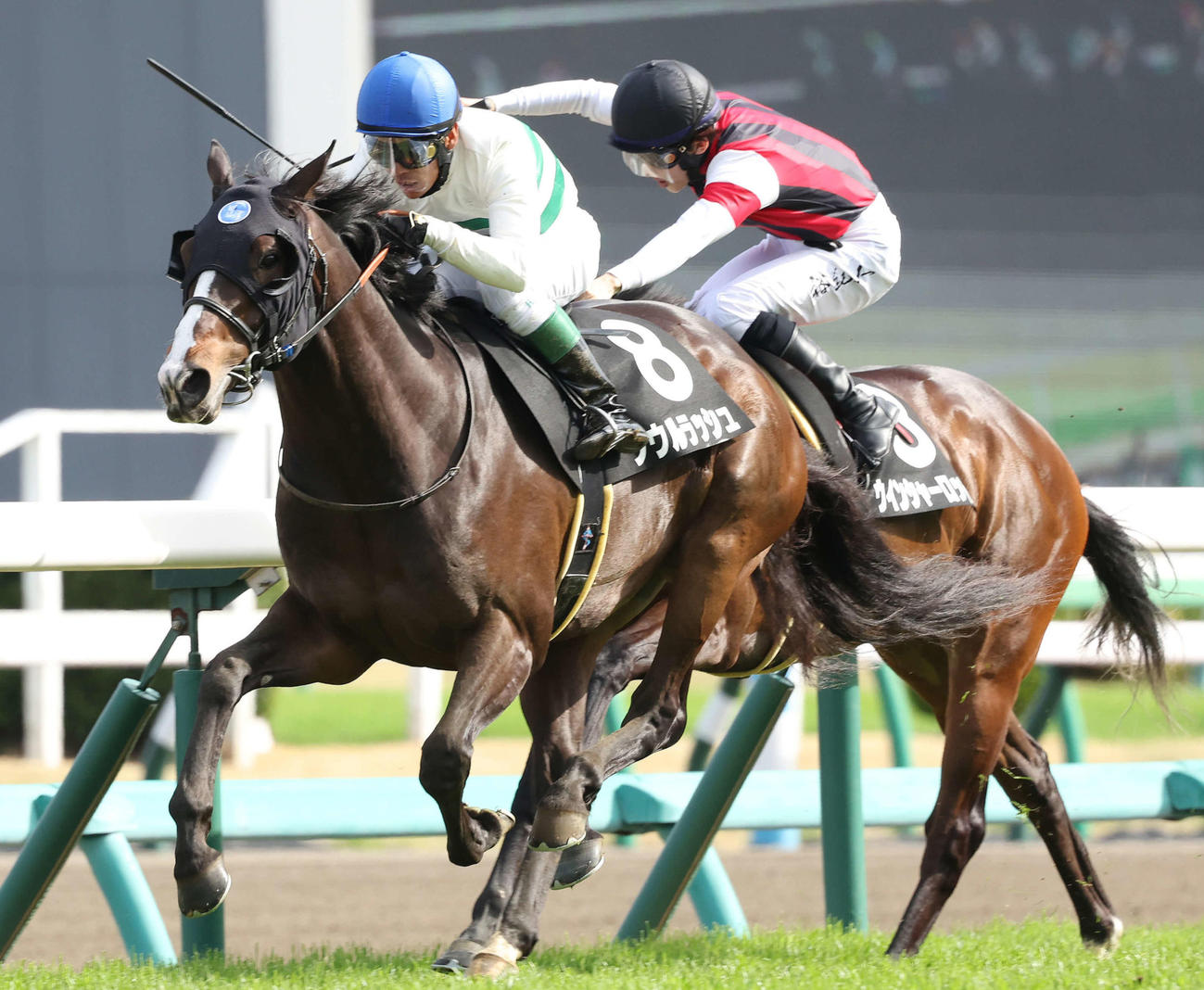 春興Sを制したソウルラッシュ（左）（2022年3月27日撮影）