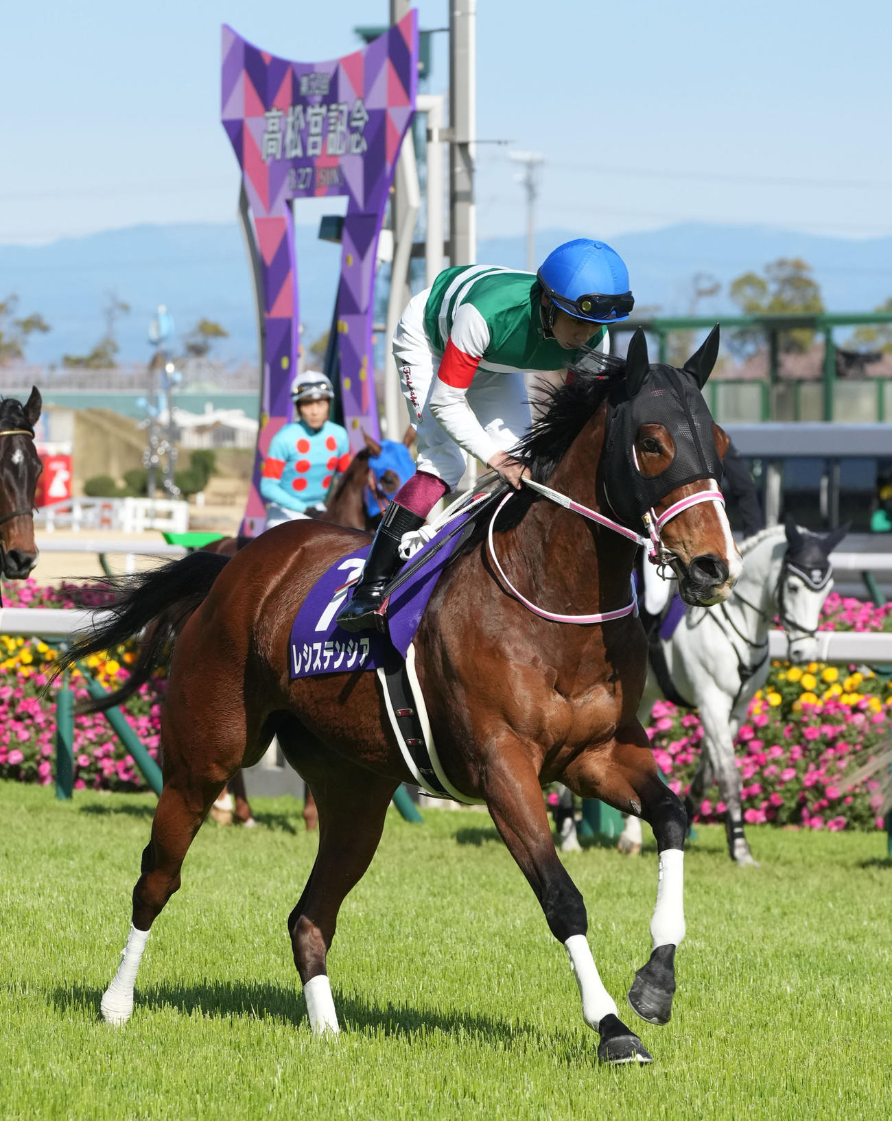 高松宮記念6着に敗れたレシステンシア（2022年3月27日撮影）