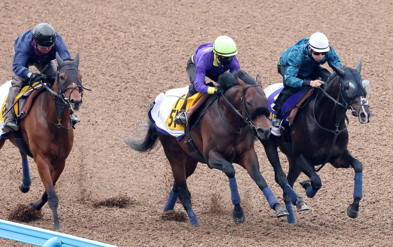 タイトルホルダー（右）は横山和騎手を背に美浦ウッドを3頭併せで追い切られた（撮影・丹羽敏通）