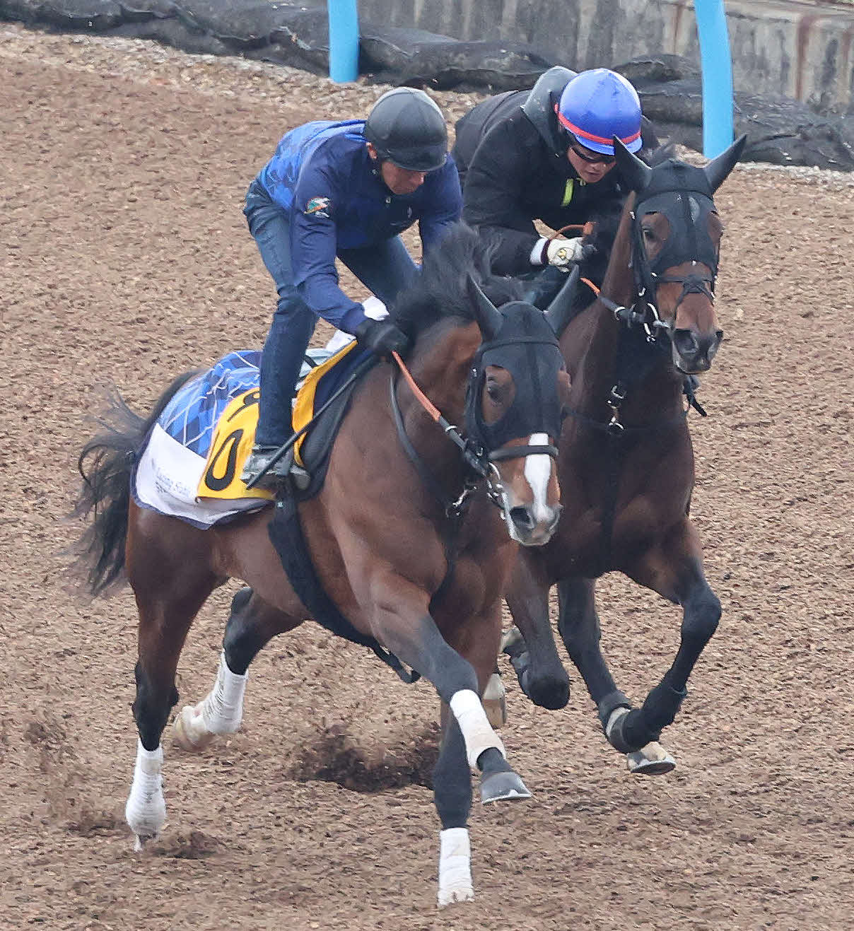 ラスール（右）は美浦ウッドでスペシャルドラマと併せて追い切られた（撮影・丹羽敏通）