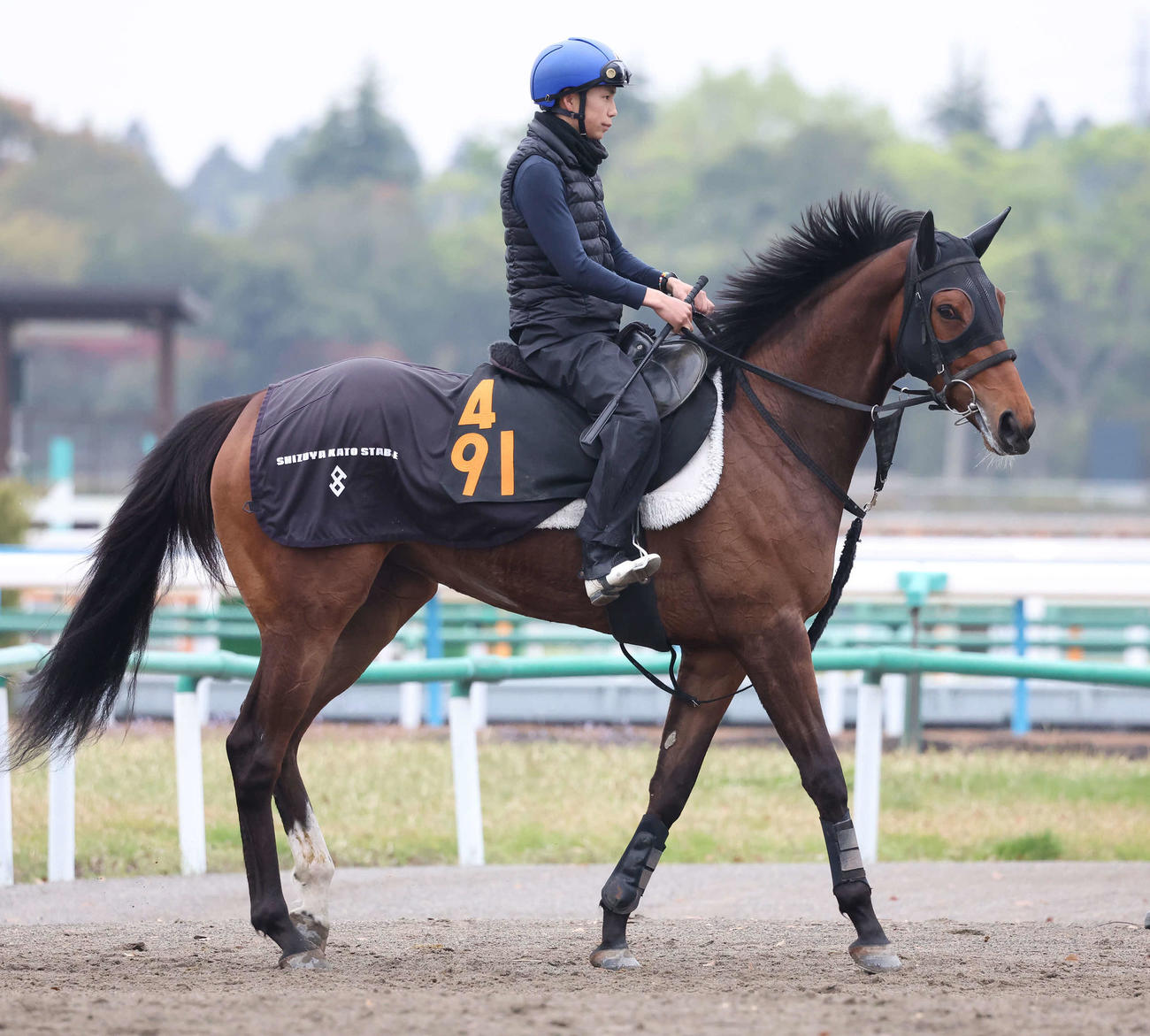 調教を終えて馬場を出るゴールデンアワーと横山武騎手（撮影・丹羽敏通）