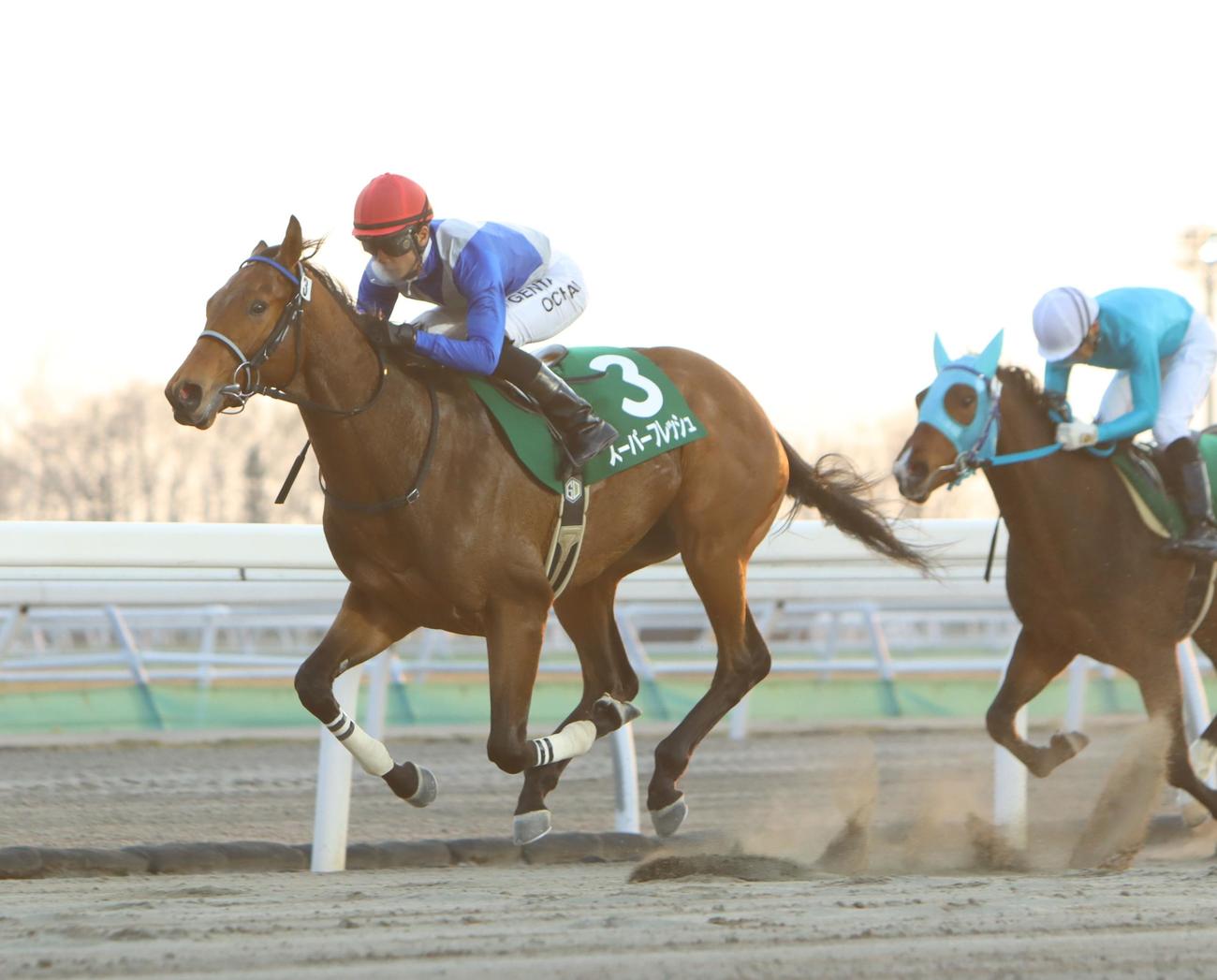 世代最初の勝ち名乗りを上げたポリゴンウェイヴ。右は2着リコシェ（撮影・奥村晶治）