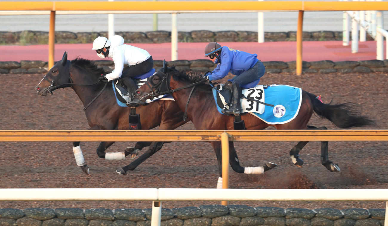 浜中騎手を背にCウッドをレシャバール（右）と併せ馬で追い切るソウルラッシュ（撮影・白石智彦）