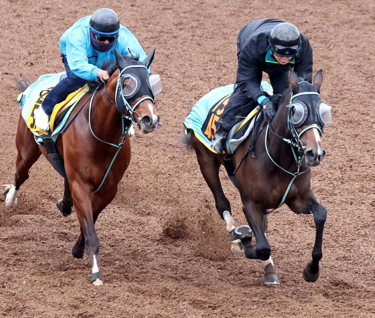 陣営が「馬なりで気持ちの乗った走り」と明かしたルージュエヴァイユ（右）（撮影・丹羽敏通）