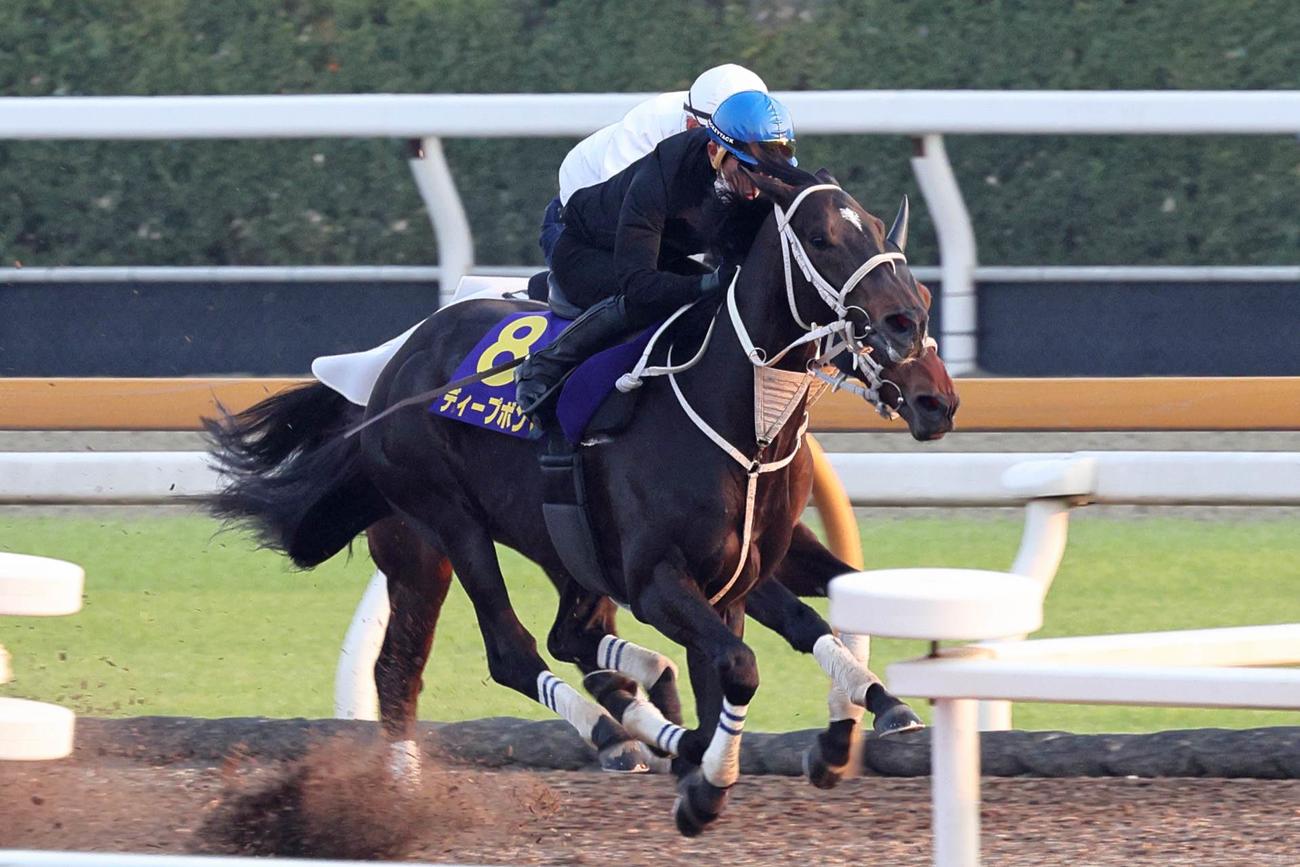 併せ馬に先着するディープボンド