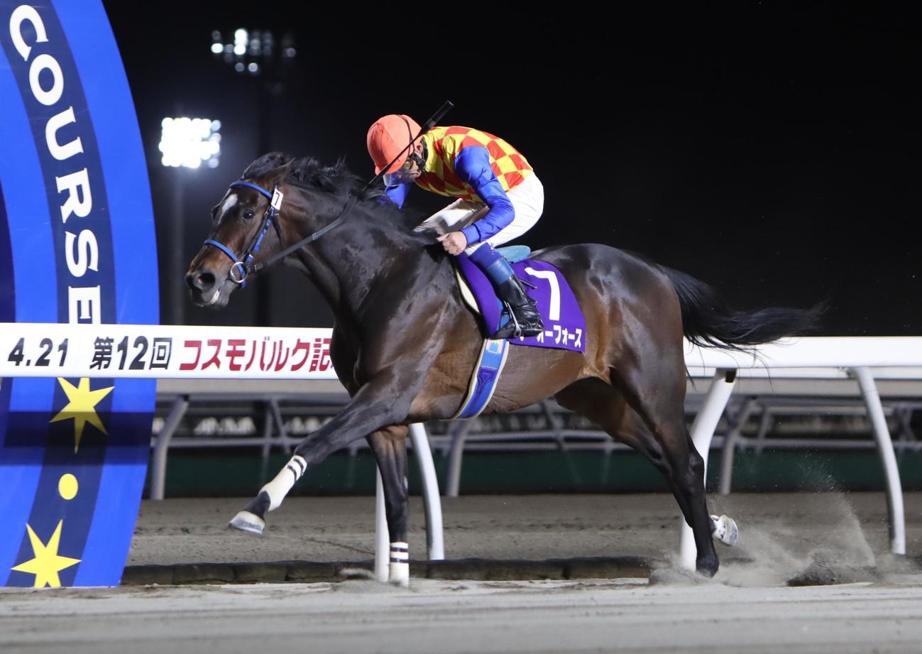 重賞初制覇を果たしたテーオーフォース（撮影・奥村晶治）