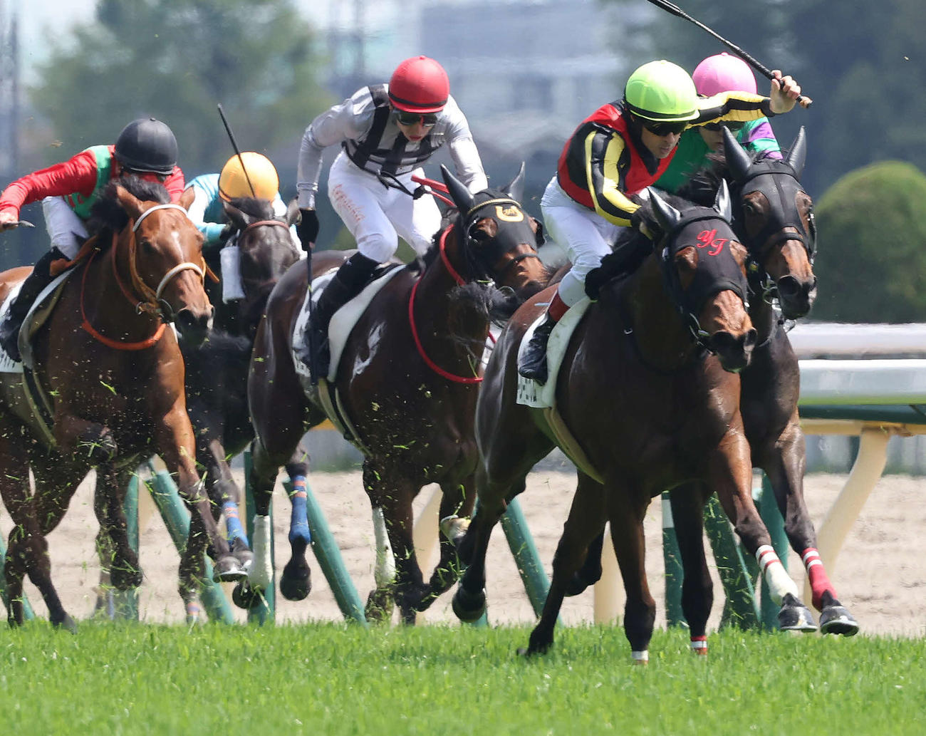 東京4R、3歳牝馬未勝利戦を制したホーリーエンブレムとルメール騎手（右から2頭目）（撮影・丹羽敏通）