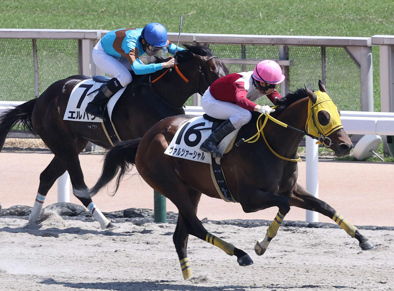 東京6R、3歳1勝クラスを制したヴァルツァーシャルと大野騎手（右）（撮影・丹羽敏通）