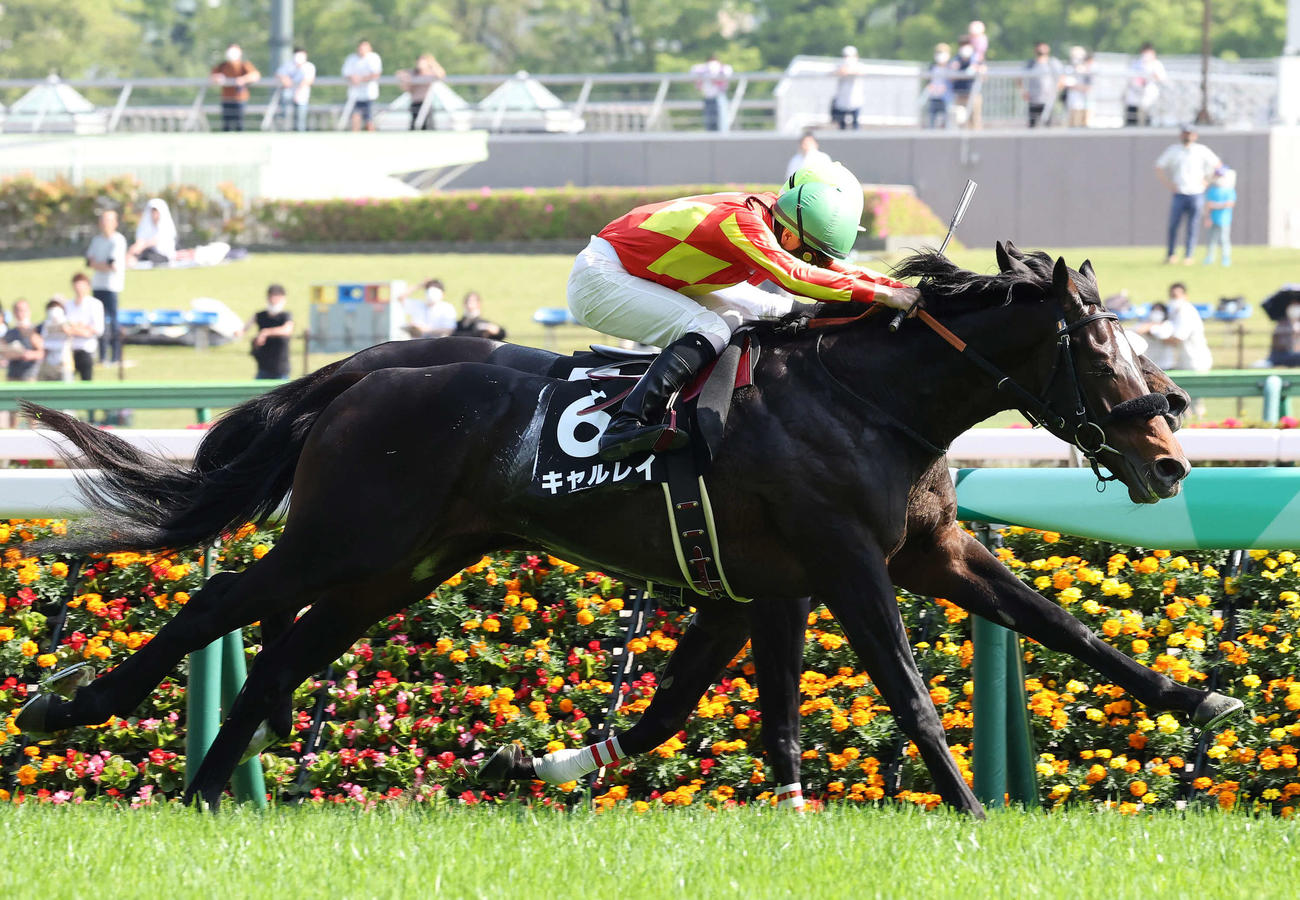 ショウナンダールをゴール手前でとらえて新緑賞を制したキャルレイと横山武騎手（撮影・丹羽敏通）