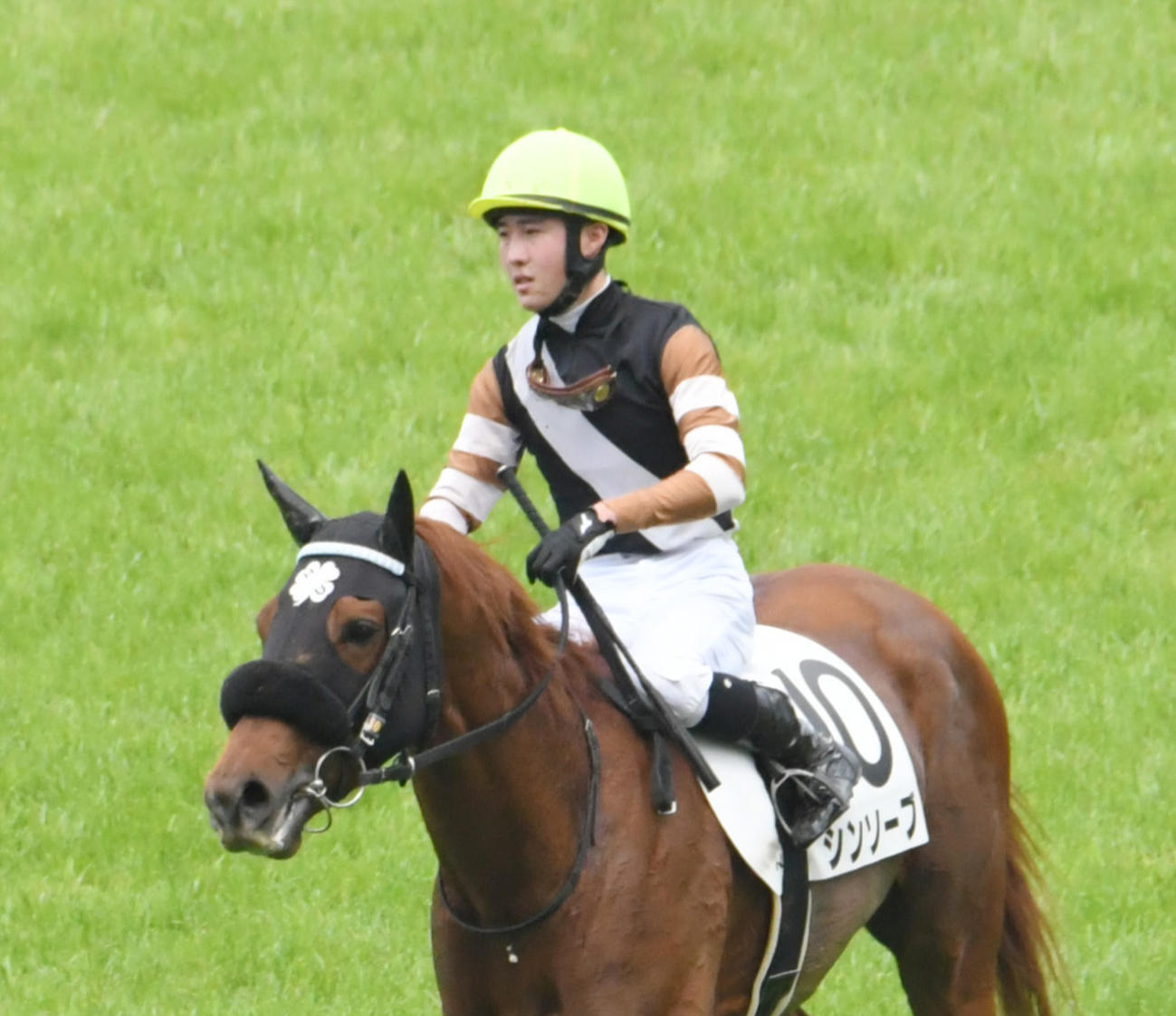 福島7R、シンソーブに騎乗した福島市出身の土田騎手は勝利ならず（撮影・酒井清司）