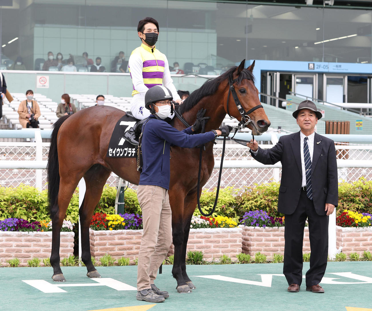 あやめ賞を制したセイウンプラチナと口取りに並ぶ小桧山悟師（右）（撮影・白石智彦）