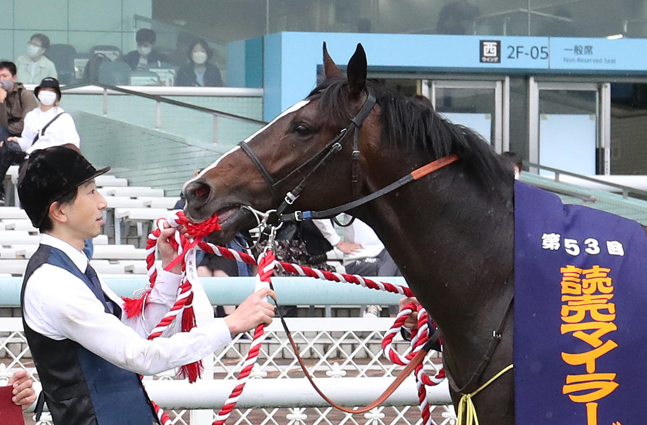 担当の橋口浩調教助手の優勝リボンをくわえるソウルラッシュ（撮影・白石智彦）