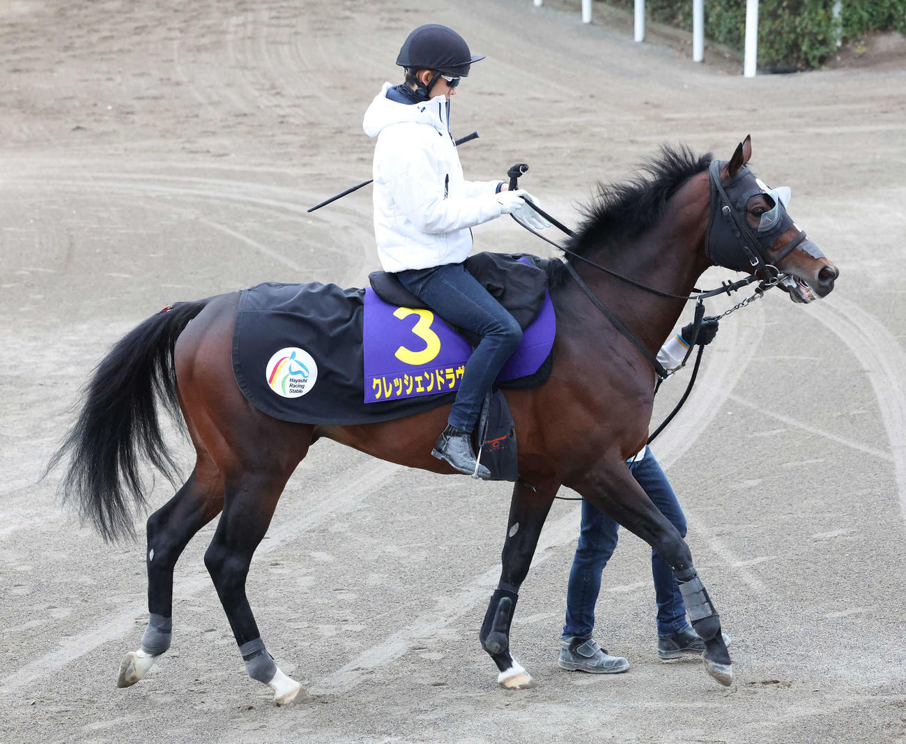 馬場へ向かうクレッシェンドラヴ（2022年4月20日撮影）
