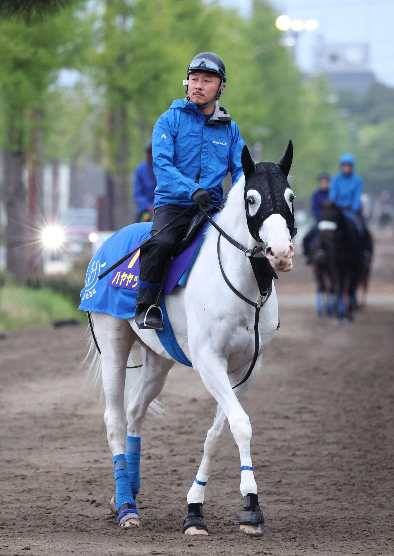 乗り運動するハヤヤッコ（2022年4月20日撮影）