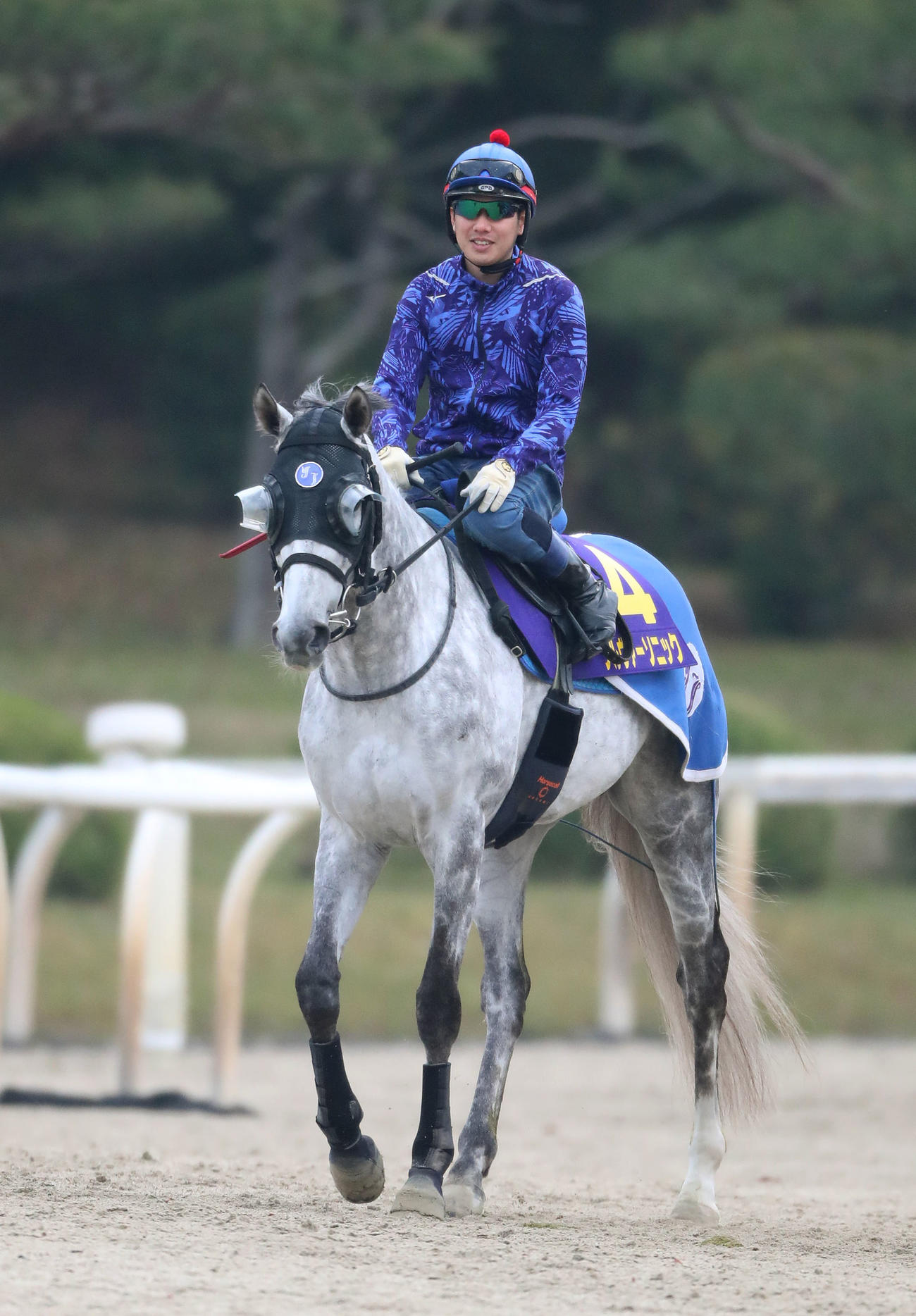 水口騎手を背にスタンド前で運動するシルヴァーソニック（2022年4月21日撮影）