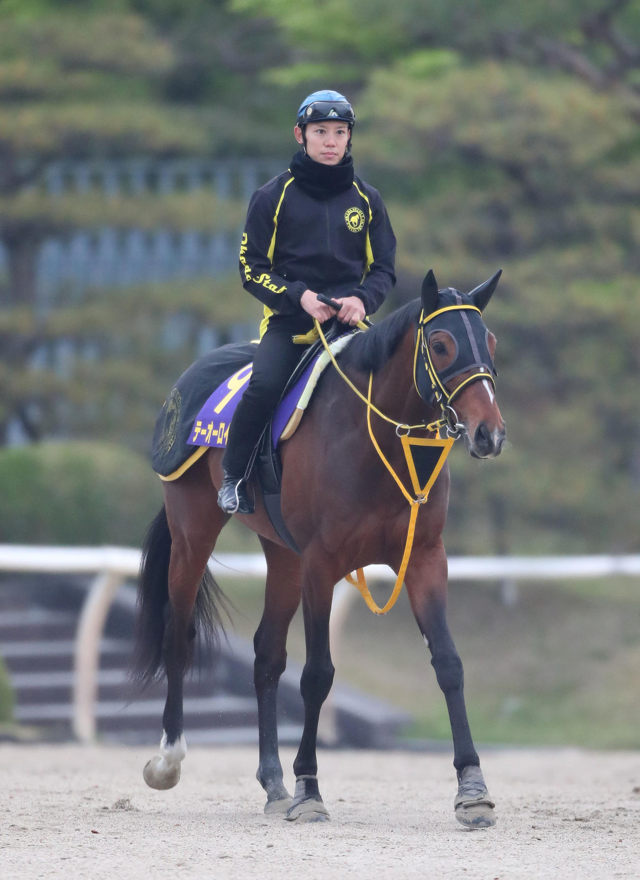 天皇賞・春に挑むテーオーロイヤルと菱田騎手