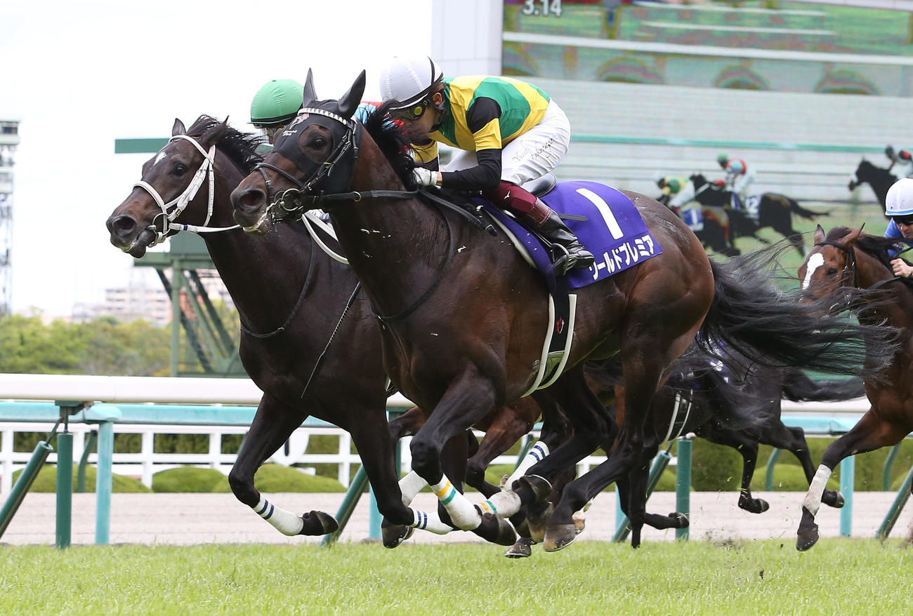 2021年の天皇賞・春を勝利したワールドプレミア（撮影・白石智彦）