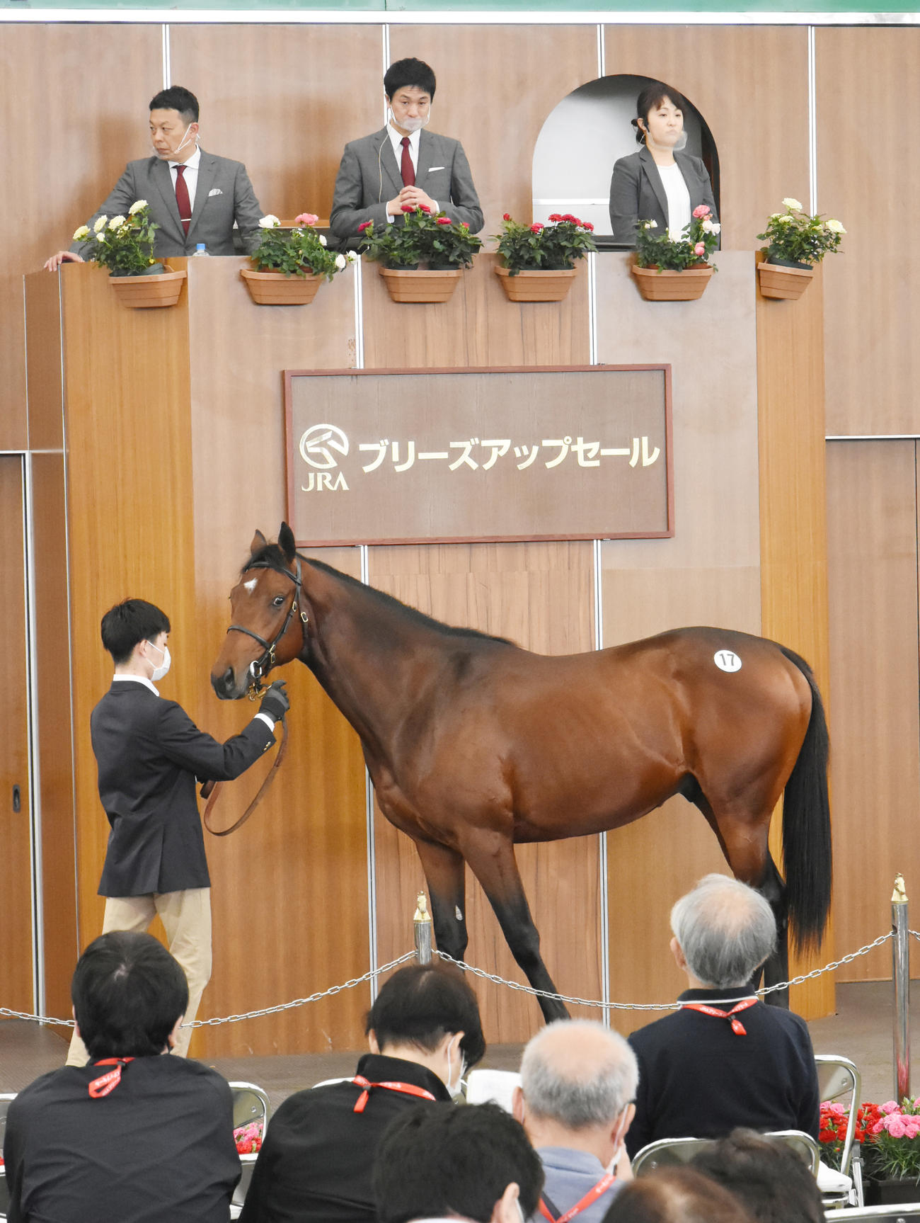 3100万円で落札されたタカミツサクラ2020（撮影・酒井清司）