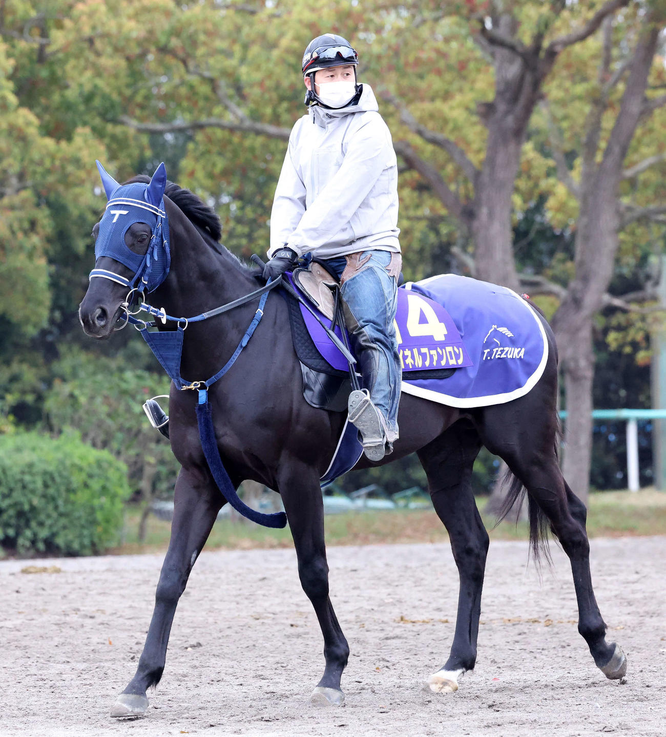 天皇賞 春 マイネルファンロン侮れない 具合すごくいい フィエールマン連覇の手塚師も色気 競馬 日刊スポーツ