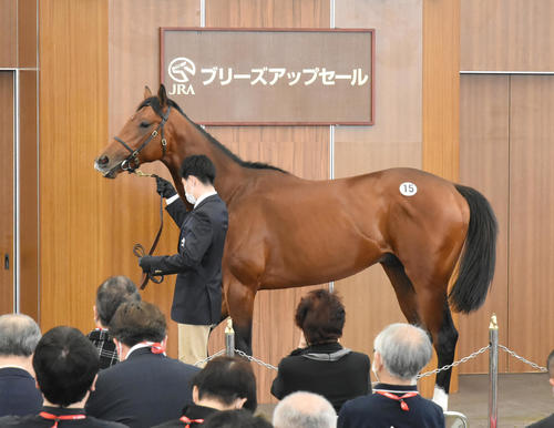 2600万円で落札されたエリモフェザー2020(撮影・酒井清司)