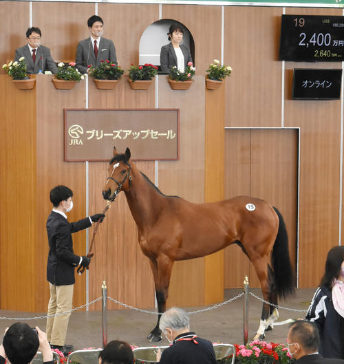 1番時計のボウルズ2020は2400万円で落札された(撮影・酒井清司)