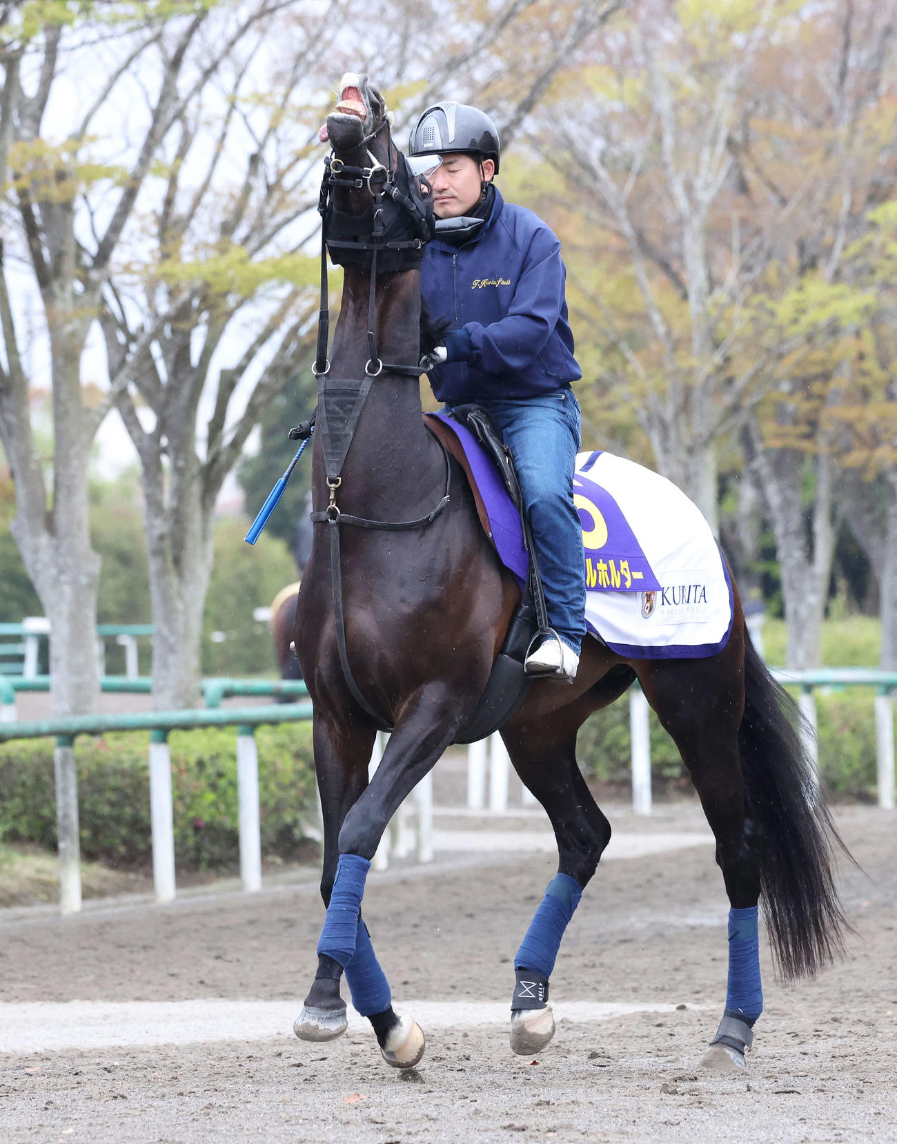 馬場へ向かうタイトルホルダー（2022年4月20日撮影）