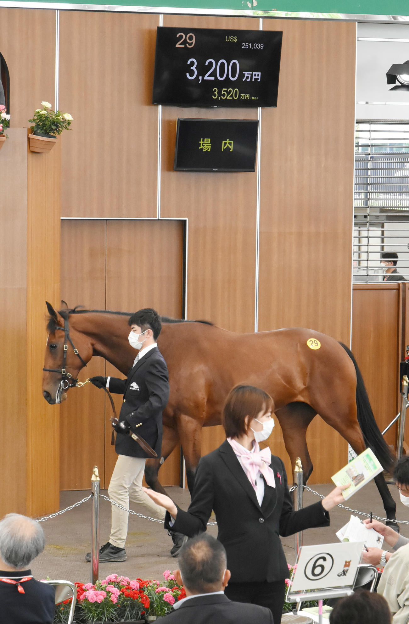 3200万円で落札されたラビアンローズ2020（撮影・酒井清司）