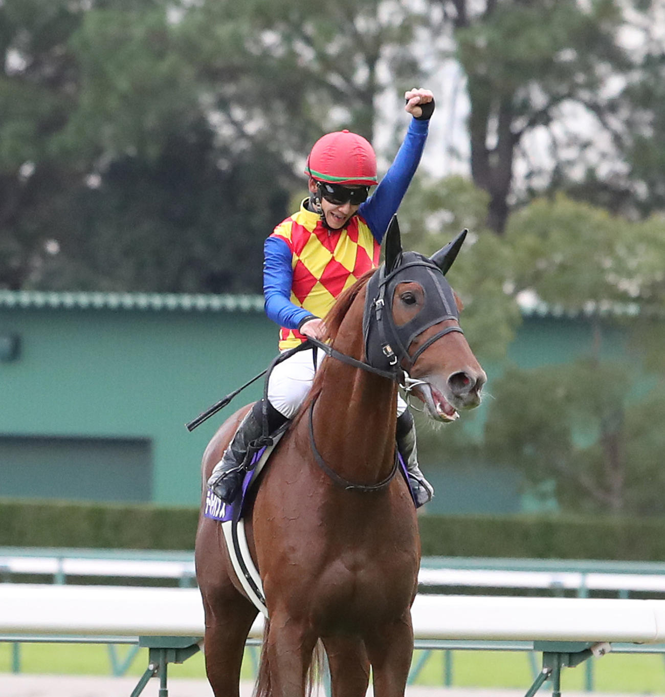 チャンピオンズCを制したテーオーケインズと松山弘平騎手（2021年12月5日撮影）