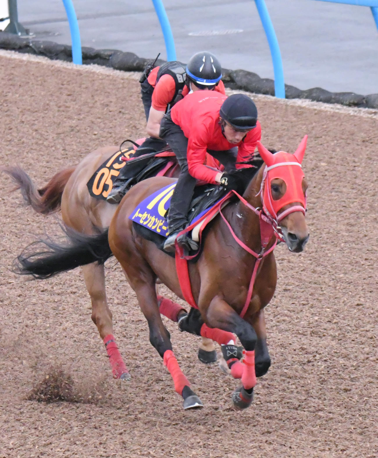 トーセンカンビーナ（手前）は、リッキーマジックと併せて追い切られた（撮影・酒井清司）