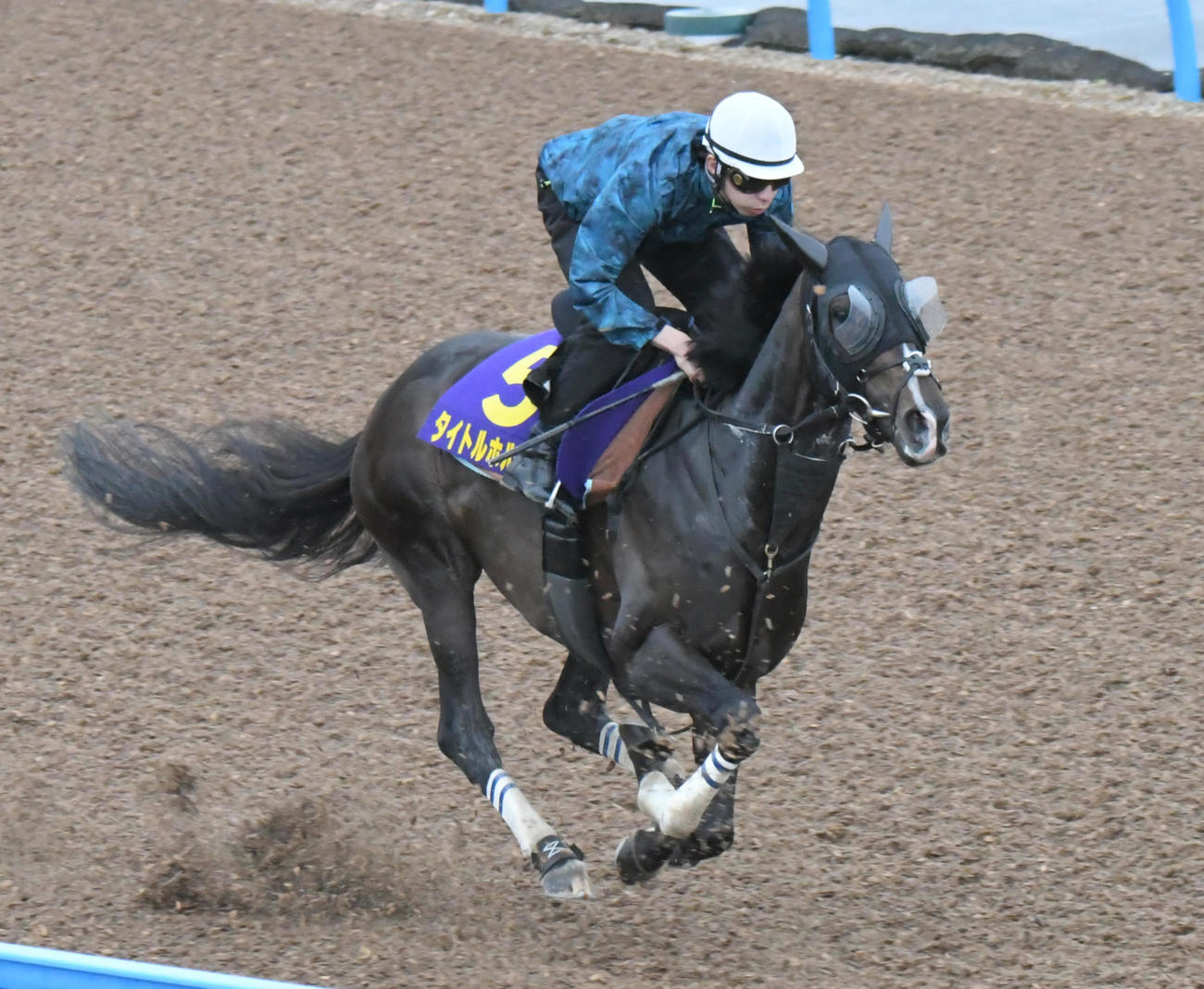 タイトルホルダーは横山和騎手を背に、力強いフットワークで追い切られた（撮影・酒井清司）