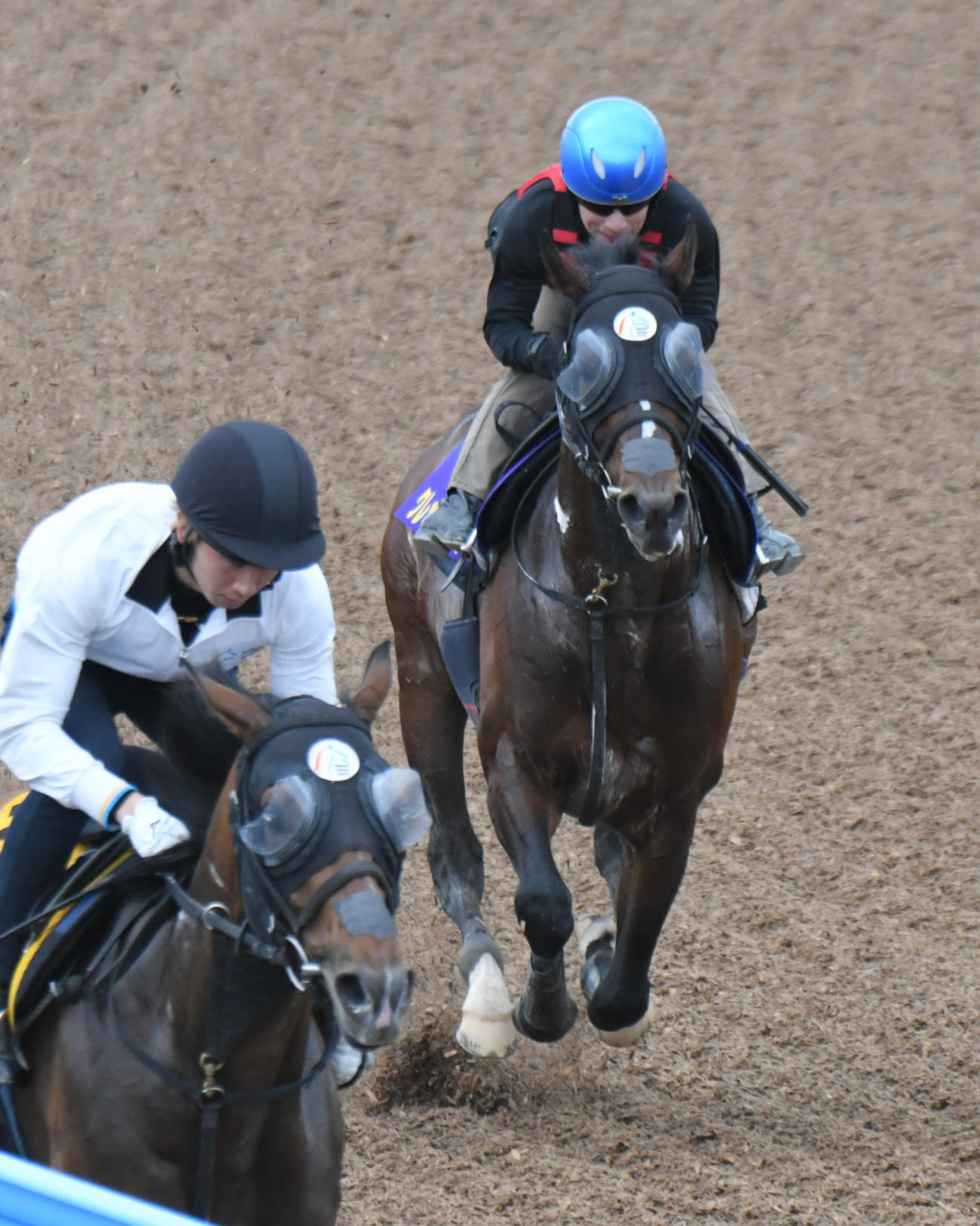 クレッシェンドラヴ（右）は内田騎手を背に、ローズボールと併せて追い切られた（撮影・酒井清司）