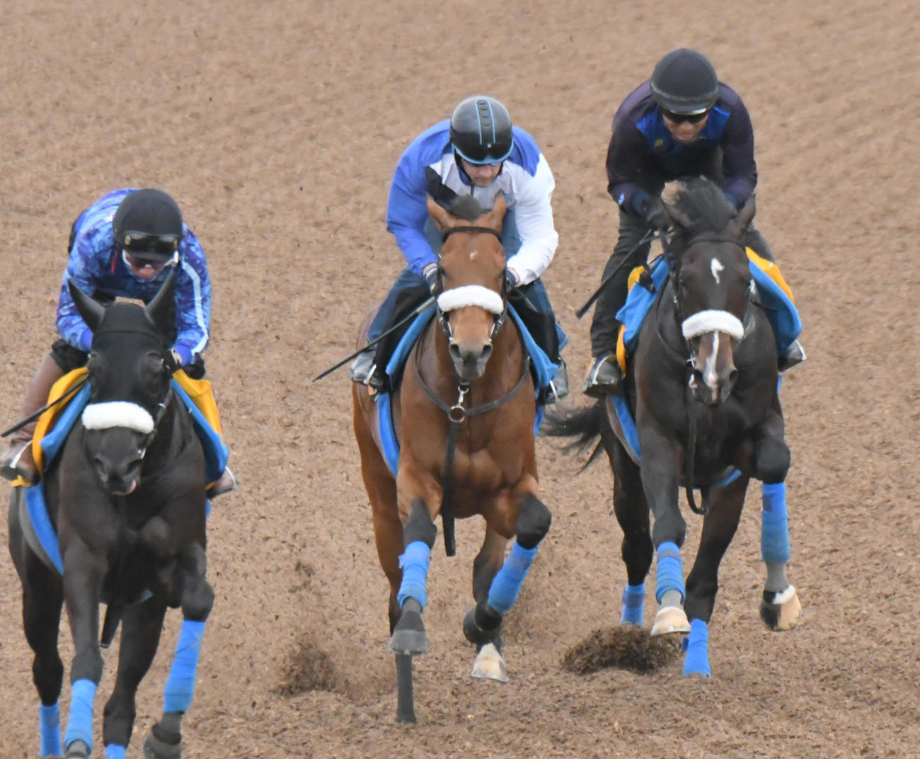 ダノンギャラクシー（中央）はルメール騎手を背に、3頭併せで追い切られた（撮影・酒井清司）