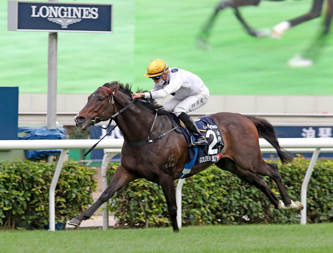 ゴールデンシックスティ（C）The Hong Kong Jockey Club