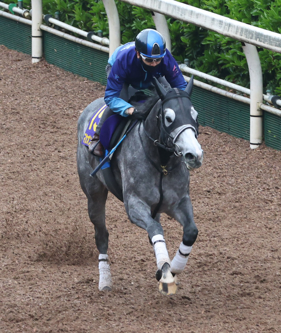 松山騎手を背に坂路で追い切られたマカオンドール