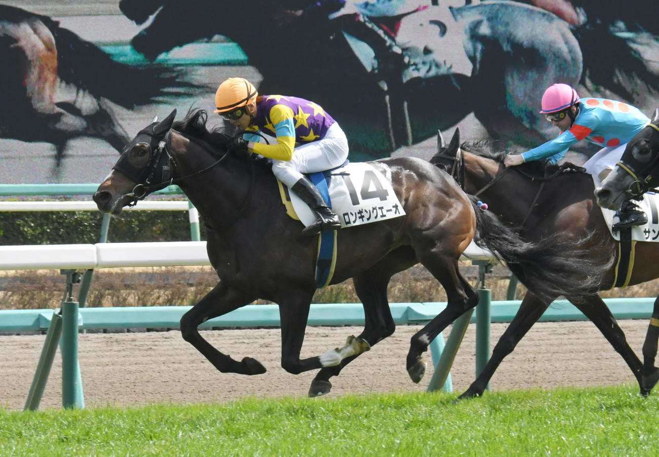 22年3月21日、3歳未勝利戦　快勝したロンギングエーオ