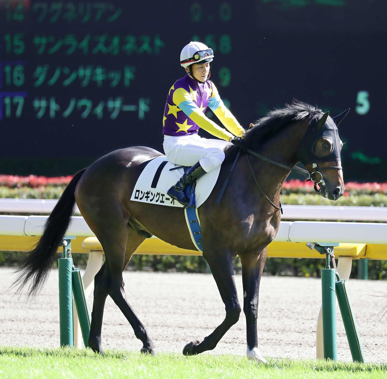 21年10月23日、2歳新馬戦に出走したロンギングエーオ