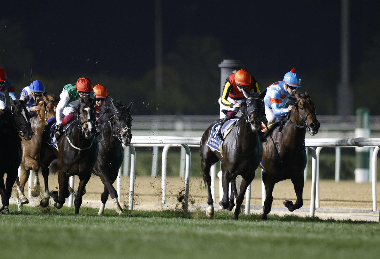 シーマクラシックを制したシャフリヤール（右から2頭目）（C）Photo stud・TIS