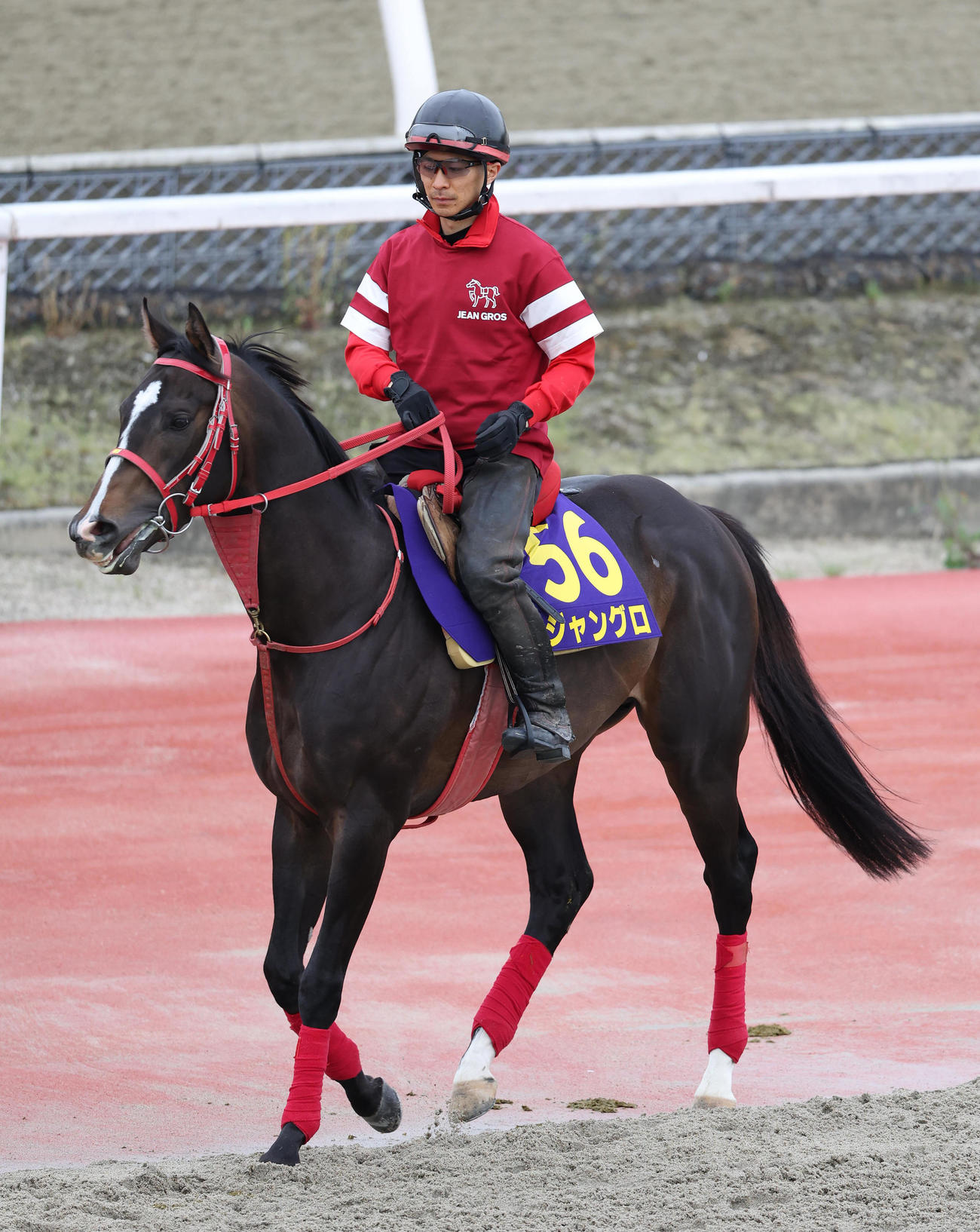 馬場入りするジャングロ（2022年4月28日撮影）