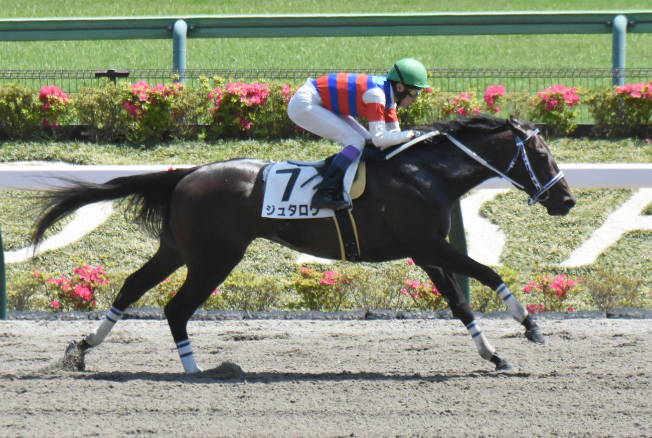 東京6R、3歳1勝クラスを快勝したジュタロウと武豊騎手