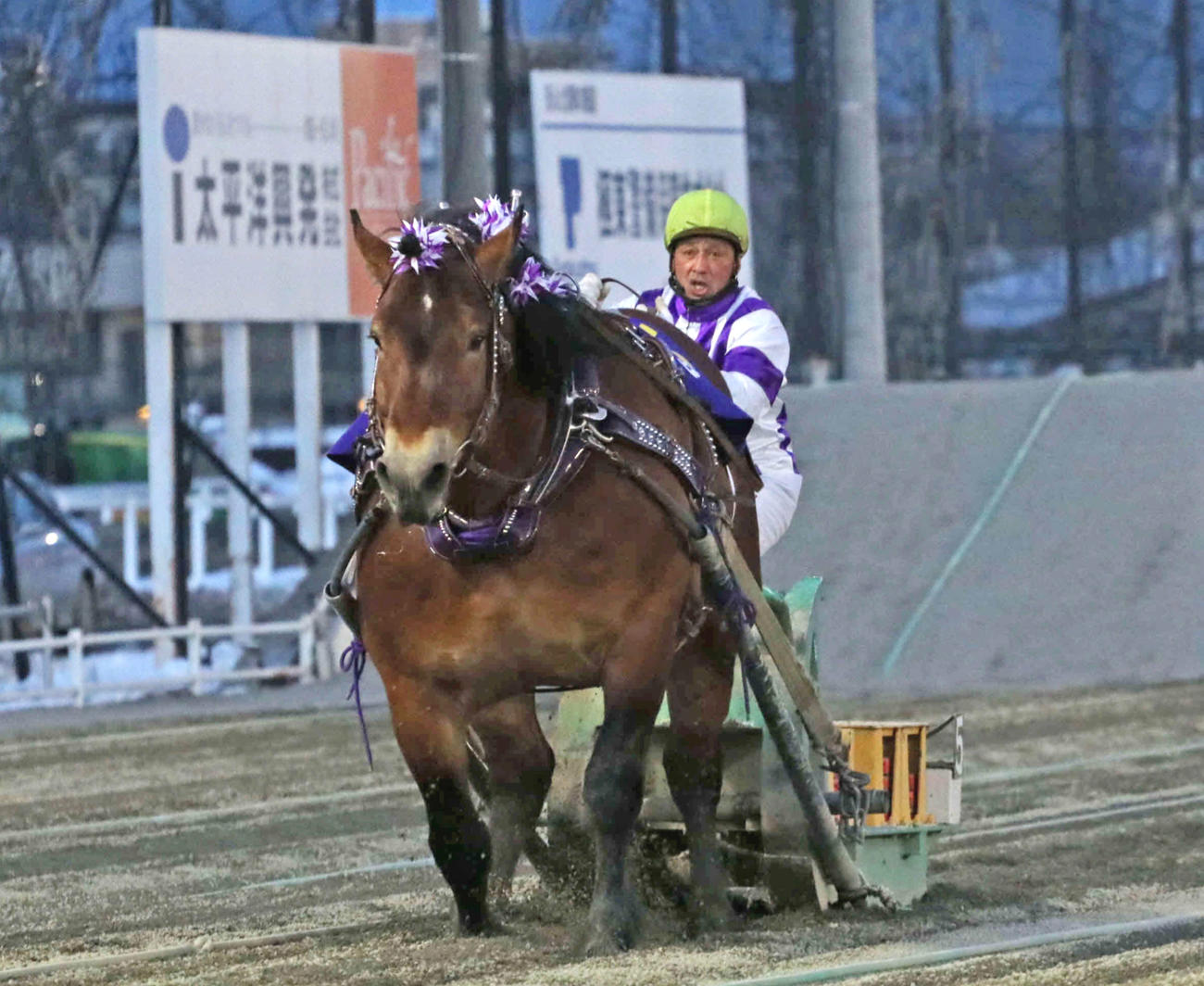 メムロボブサップと阿部騎手