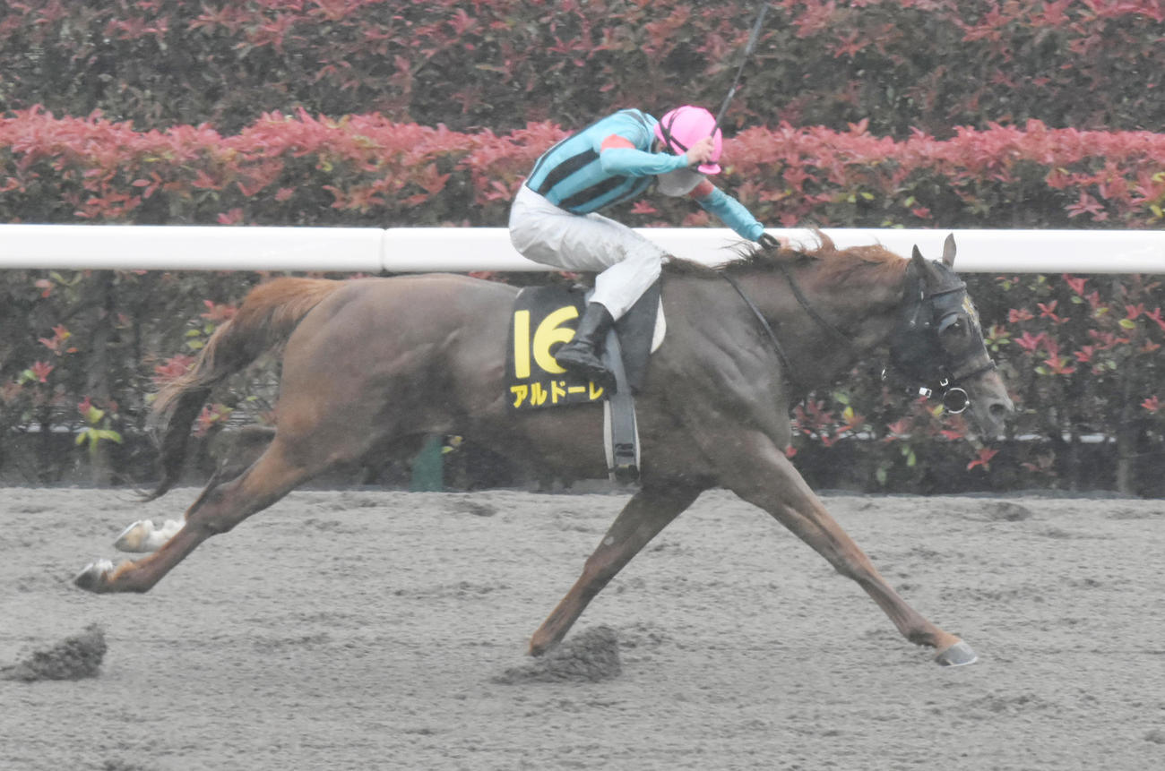 プリリアントSを快勝した、アルドーレとレーン騎手