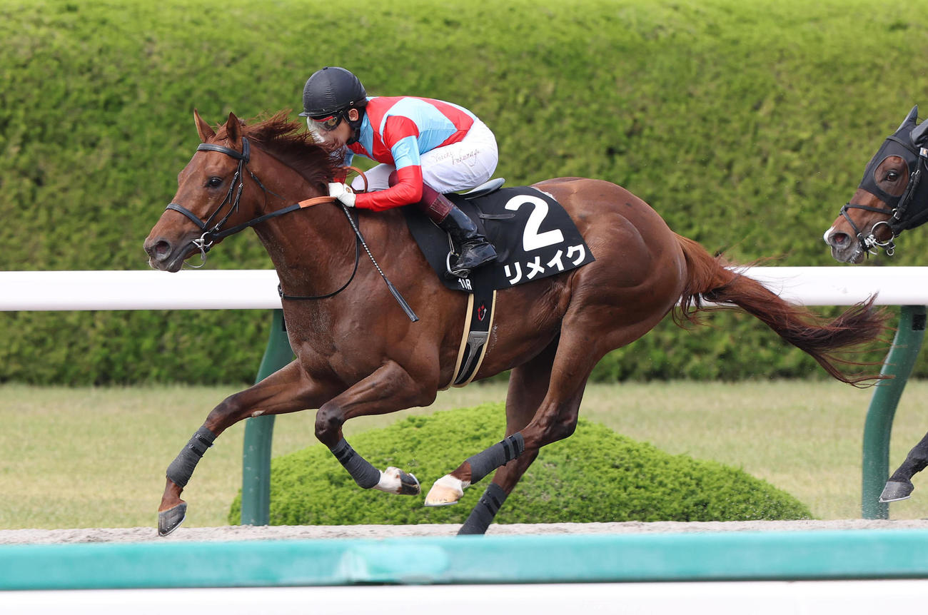3連勝で端午Sを制したリメイク（撮影・白石智彦）