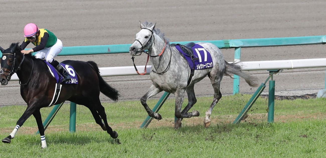 スタート直後に落馬したシルヴァーソニック