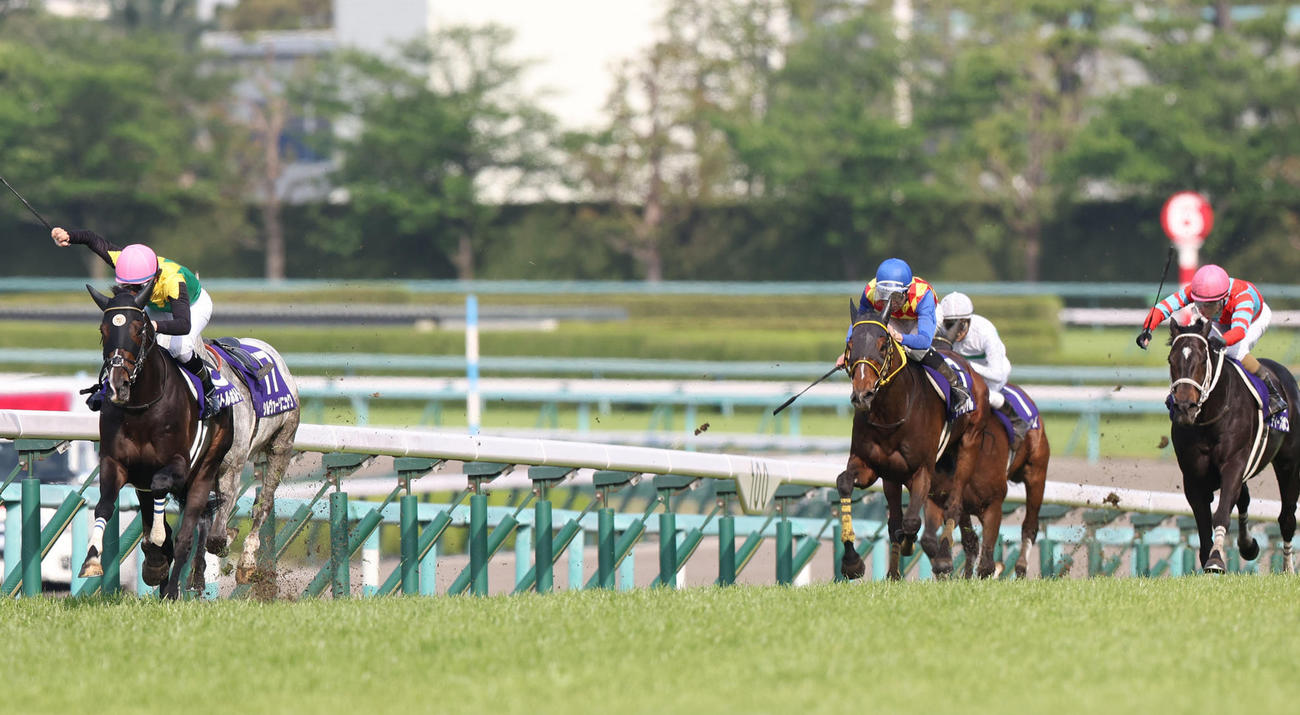 タイトルホルダー（左）を追い坂を駆け上がるテーオーロイヤル（左から2頭目）（撮影・白石智彦）