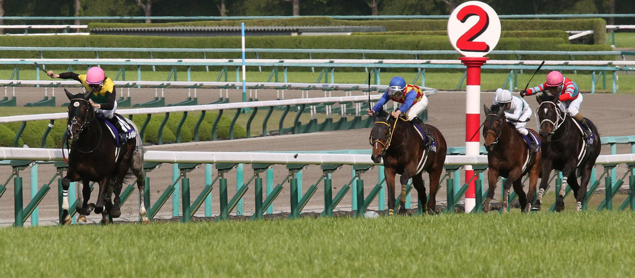 タイトルホルダー（左端）はディープボンド（右端）を大きく引き離しゴールに向かう（撮影・渦原淳）