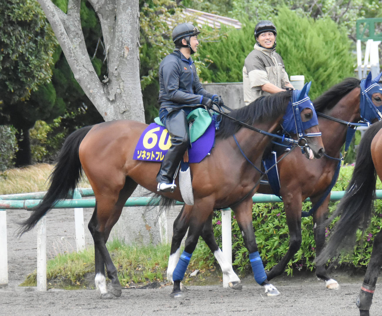 ソネットフレーズ（2022年4月撮影）