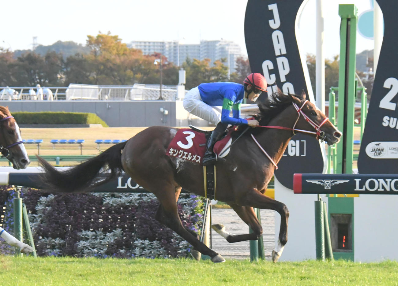 京王杯2歳Sを制したキングエルメス（2021年11月6日撮影）