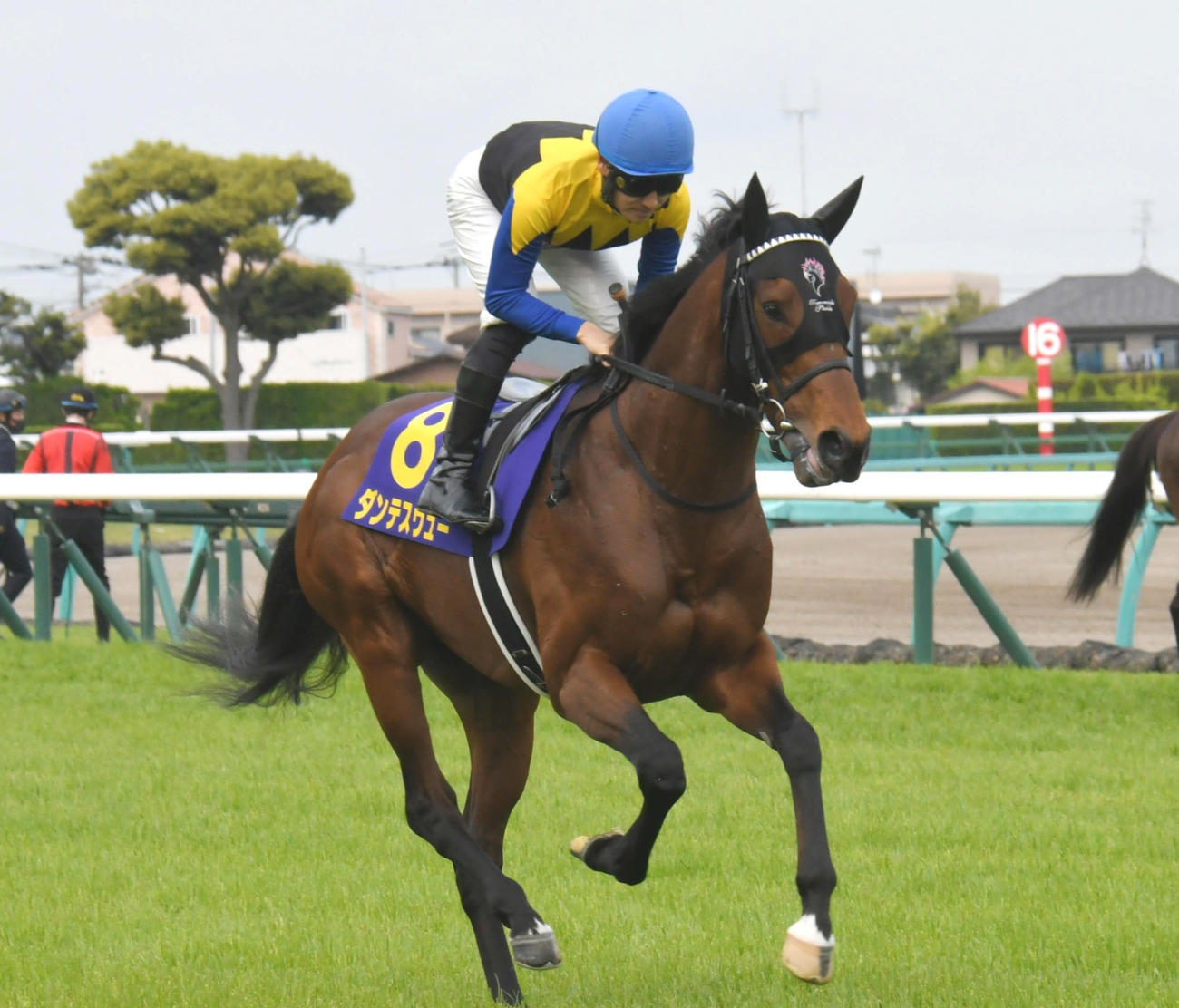 皐月賞10着のダンテスヴュー（2022年4月17日撮影）