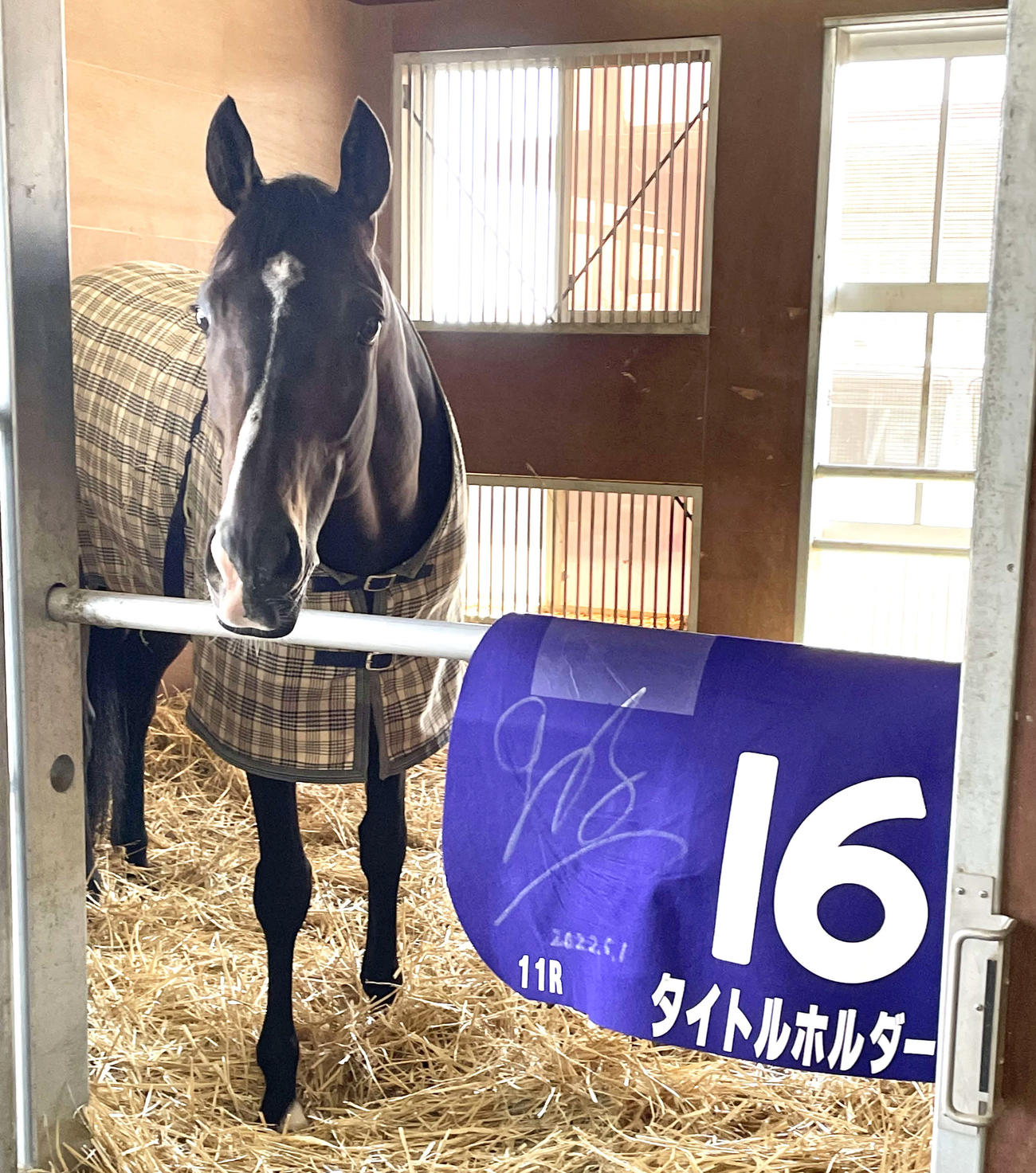 天皇賞・春を制したタイトルホルダーは馬房でくつろぐ