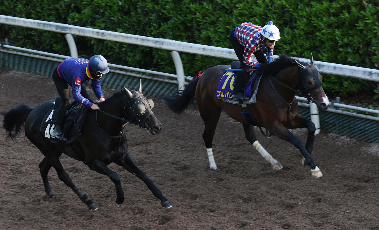 デムーロ騎手を背に坂路を併せ馬で追い切るプルパレイ（右）